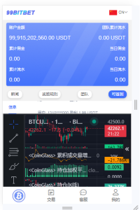 【商业源码】99bitbet双语言USDT竞猜下注源码/海外PC28虚拟货币竞猜玩法/根据虚拟货币行情走势自动开奖结算/带预设开奖结果-赛迪源码网