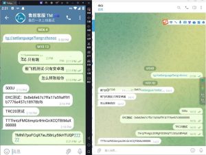假飞机盗U源码/假telegram系统源码-赛迪源码网