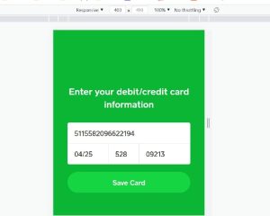 Cash支付钓y网站源码，可钓CVV，SSN-赛迪源码网